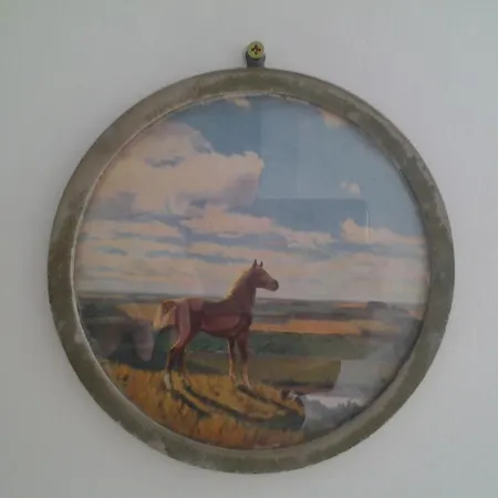 Sunny Side Koszutka Katowice