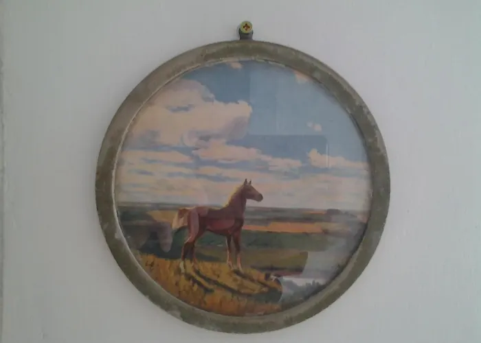 Sunny Side Koszutka קטוביץ