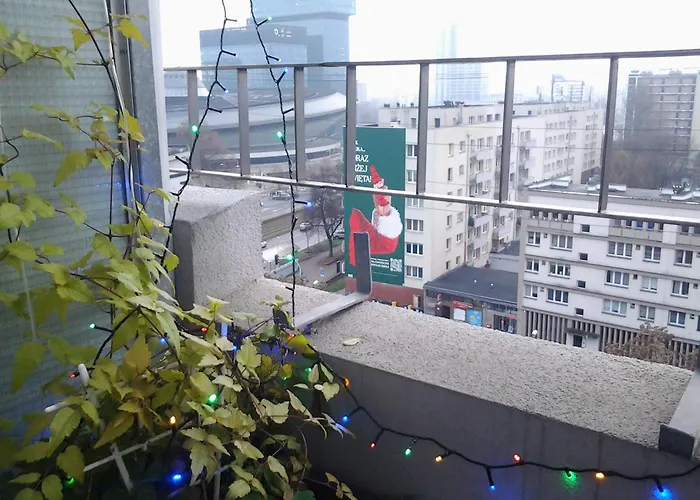 Sunny Side Koszutka *